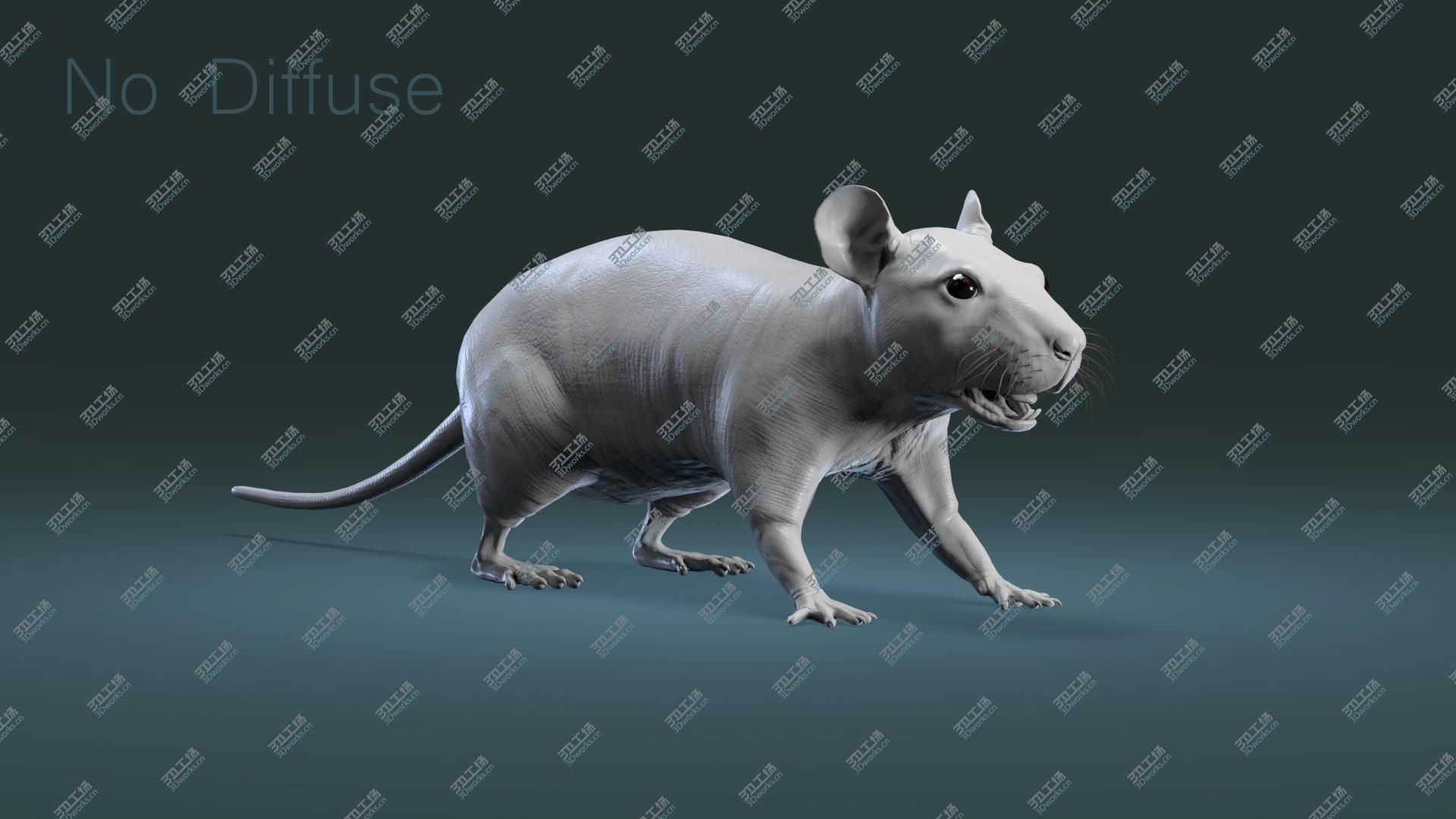 images/goods_img/2021040163/Rat Hairless 3D/5.jpg